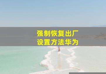 强制恢复出厂设置方法华为