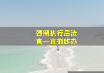 强制执行后法官一直拖咋办