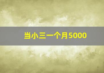 当小三一个月5000