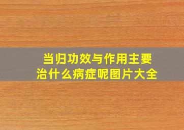 当归功效与作用主要治什么病症呢图片大全