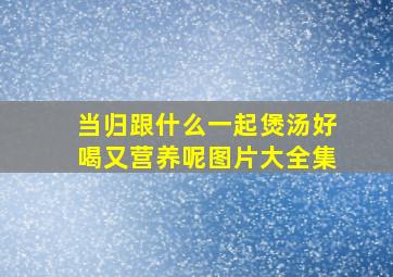 当归跟什么一起煲汤好喝又营养呢图片大全集