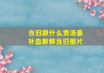 当归跟什么煲汤最补血新鲜当归图片