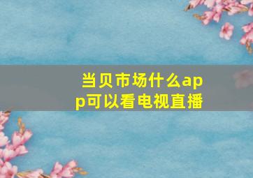 当贝市场什么app可以看电视直播