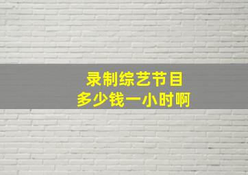 录制综艺节目多少钱一小时啊