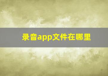 录音app文件在哪里