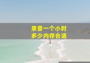 录音一个小时多少内存合适