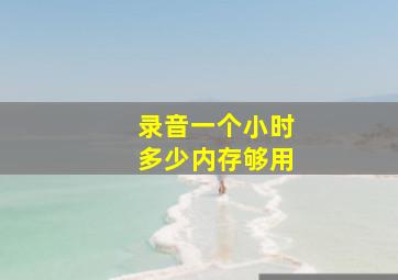 录音一个小时多少内存够用