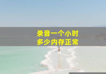 录音一个小时多少内存正常