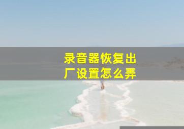 录音器恢复出厂设置怎么弄