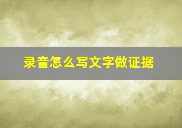 录音怎么写文字做证据