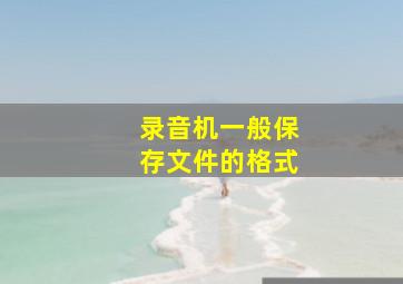 录音机一般保存文件的格式