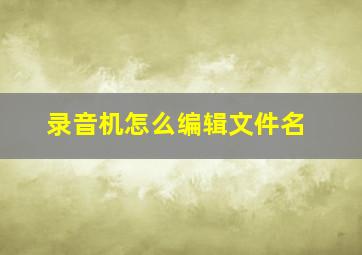 录音机怎么编辑文件名