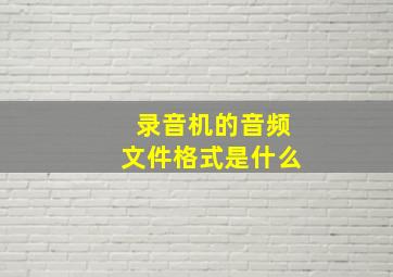 录音机的音频文件格式是什么