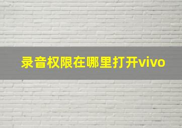 录音权限在哪里打开vivo