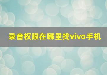 录音权限在哪里找vivo手机