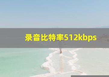 录音比特率512kbps