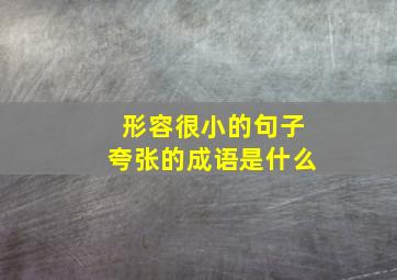 形容很小的句子夸张的成语是什么