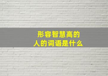 形容智慧高的人的词语是什么