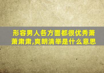 形容男人各方面都很优秀萧萧肃肃,爽朗清举是什么意思