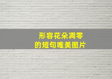 形容花朵凋零的短句唯美图片