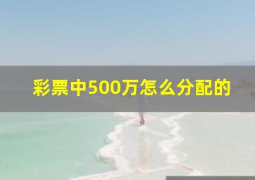 彩票中500万怎么分配的