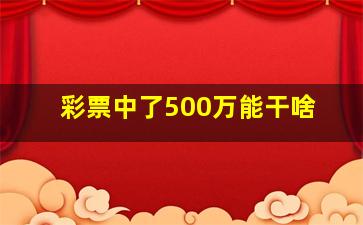 彩票中了500万能干啥