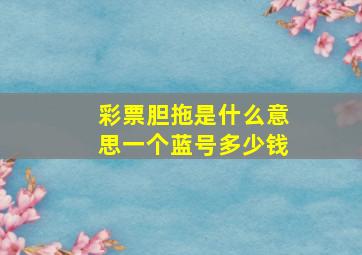 彩票胆拖是什么意思一个蓝号多少钱