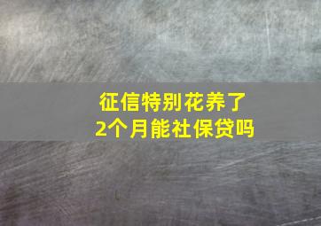 征信特别花养了2个月能社保贷吗