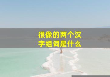 很像的两个汉字组词是什么