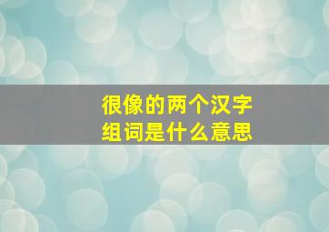 很像的两个汉字组词是什么意思