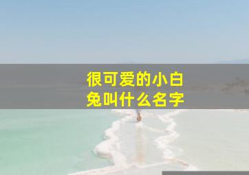 很可爱的小白兔叫什么名字