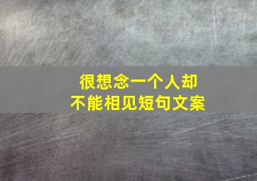 很想念一个人却不能相见短句文案