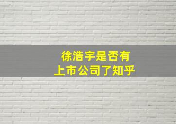 徐浩宇是否有上市公司了知乎