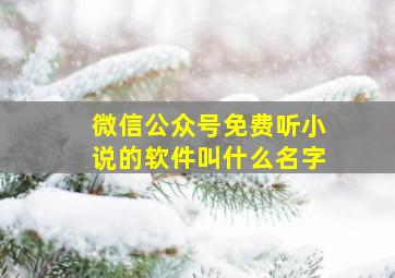 微信公众号免费听小说的软件叫什么名字