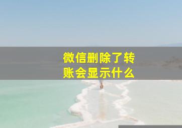 微信删除了转账会显示什么