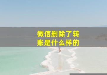 微信删除了转账是什么样的