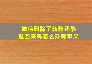 微信删除了转账还能退回来吗怎么办呢苹果