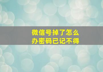 微信号掉了怎么办密码已记不得