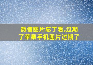 微信图片忘了看,过期了苹果手机图片过期了