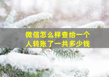 微信怎么样查给一个人转账了一共多少钱