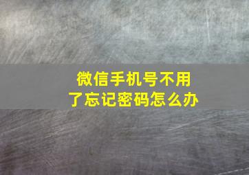 微信手机号不用了忘记密码怎么办