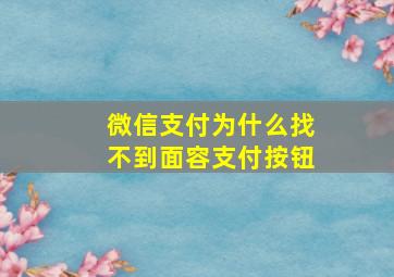 微信支付为什么找不到面容支付按钮