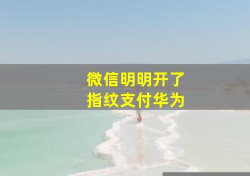 微信明明开了指纹支付华为