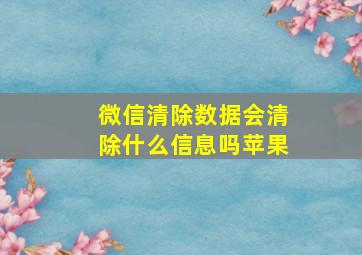 微信清除数据会清除什么信息吗苹果