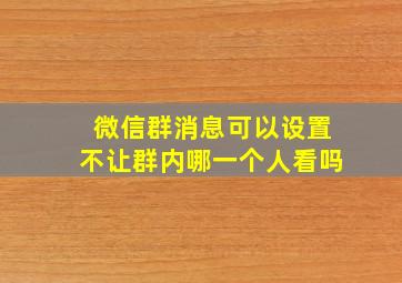 微信群消息可以设置不让群内哪一个人看吗