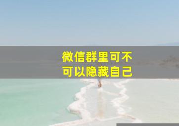 微信群里可不可以隐藏自己