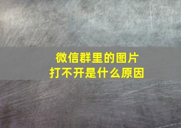 微信群里的图片打不开是什么原因