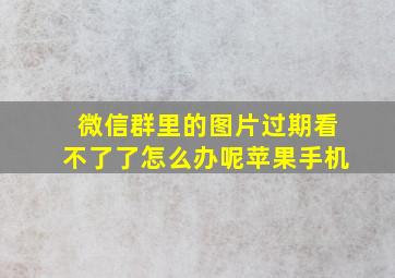 微信群里的图片过期看不了了怎么办呢苹果手机