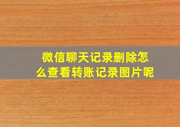 微信聊天记录删除怎么查看转账记录图片呢