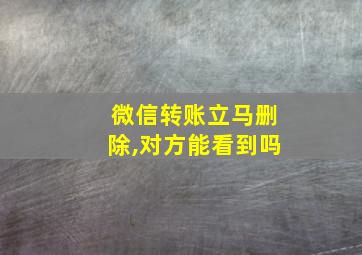 微信转账立马删除,对方能看到吗